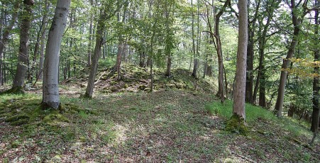 Gelsterburg Hessen (Burg)
