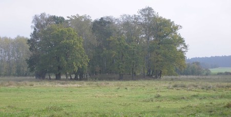 Schöna (Turm)